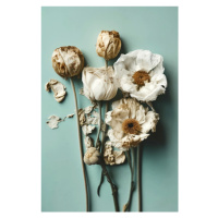 Fotografie Dry Flowers on Turquoise Background, Treechild, 26.7 × 40 cm