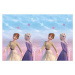 Procos Plastový ubrus "Frozen 2: Wind Spirit" 120x180 cm