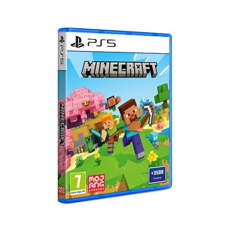 Minecraft - PS5