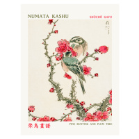 Obrazová reprodukce Pine Bunting & Plum Tree (Asian Birds) - Numata Kashu, (30 x 40 cm)