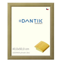 DANTIK rámeček 40 × 50, LEDVINKA přírodní plexi čiré