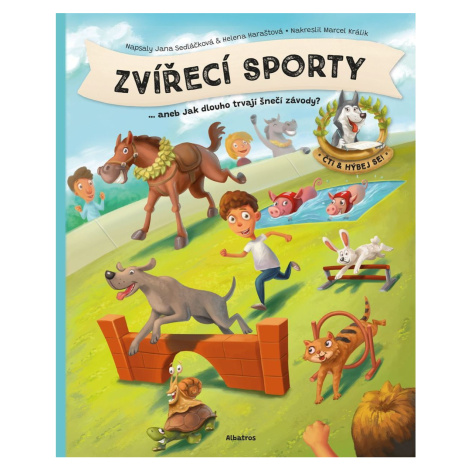 Zvířecí sporty - Jana Sedláčková, Helena Haraštová B4U Publishing
