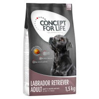 Concept for Life Labradorský retrívr Adult - 4 x 1,5 kg