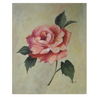 Obraz - Růžová růže