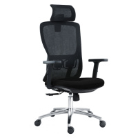 Kancelářská ergonomická židle Neoseat TASCO — látka, síť, černá, nosnost 150 kg