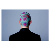 Fotografie Young man with dyed shot hair studio, Westend61, 40x26.7 cm
