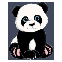 Zuty Malování podle čísel Panda