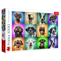 Trefl Puzzle Veselé psí portréty / 1000 dílků -  Trefl