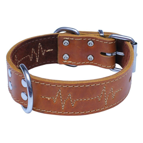 BAFPET Kožený obojek EKG - Přírodní - Přírodní - 40mm x 70cm /52-62/ 07164E