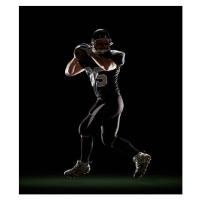 Fotografie Quarterback in Three-Step Drop position, Lewis Mulatero, (35 x 40 cm)