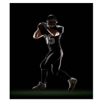 Fotografie Quarterback in Three-Step Drop position, Lewis Mulatero, 34.7 × 40 cm