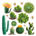 Samolepící dekorace Cactus, 30 x 30 cm