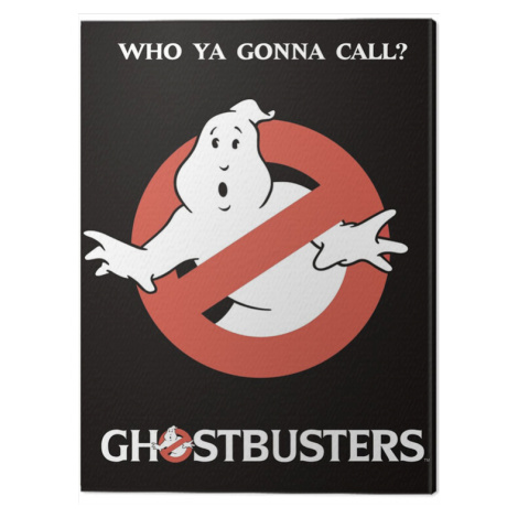 Obraz na plátně Ghostbusters - Who You Gonna Call?, (60 x 80 cm) Pyramid