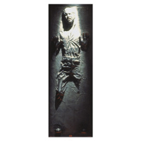 Plakát, Obraz - Star Wars - Han Solo in Carbonite, 53 × 158 cm