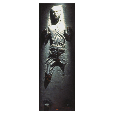 Plakát, Obraz - Star Wars - Han Solo in Carbonite, 53 × 158 cm