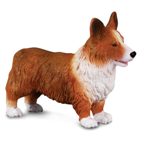 COLLECTA - Welsh corgi