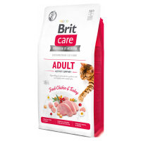 BRIT CARE cat GF  ADULT ACTIVITY support  - 400g