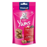 Pochoutka Vitakraft Cat Yums Superfood kachna s bezem 40g