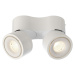 Light Impressions Deko-Light stropní přisazené svítidlo, Uni II Mini Double, Tilt, 21 W, DIM, 27