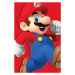 Plakát, Obraz - Super Mario - Run, 61x91.5 cm