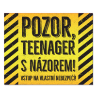 Cedulka na dveře - Teenager s názorem Albi