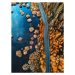 Fotografie helicopter view of the pine forest along a lake, franckreporter, 30 × 40 cm