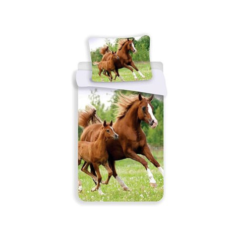 Jerry Fabrics Povlečení fototisk Horse 04 140×200, 70×90 cm