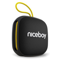 Niceboy RAZE Mini 4