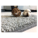 Vopi koberce Kusový koberec Udine šedý - 80x150 cm