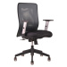 Ergonomická kancelářská židle OfficePro Calypso Barva: černá