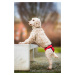 Vsepropejska Fixed červené hárací kalhotky pro psa Obvod slabin (cm): 60 - 75