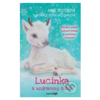 Lucinka a uzdravený sobík - Anne Booth, Sophie Williams - kniha z kategorie Pro děti