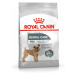 Royal Canin Mini Dental Care - granule pro dospělé psy malých plemen se sklonem k zubním problém