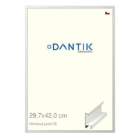 DANTIK rámeček 29,7 × 42, ALU profil 6035 Dýha bílý plexi čiré