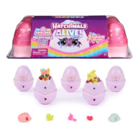 Hatchimals líhnoucí se zvířátka ve vodě karton