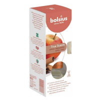 Vonný difuzér BOLSIUS 45ml jablko skořice