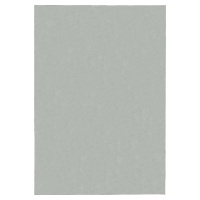 Světle šedý koberec 200x290 cm – Flair Rugs