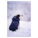 Vsepropejska Fala zimní bunda s kapucí pro psa Barva: Modrá, Délka zad (cm): 24, Obvod hrudníku: