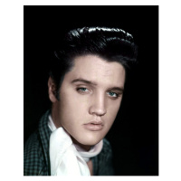 Fotografie Elvis Presley, 30 × 40 cm