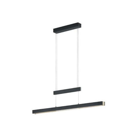 Trio Trajan led závěsné osvětlení černá tr 375310502 TR375310502