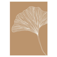 Ilustrace Nude Ginkgo, Veronika Boulová, 26.7 × 40 cm