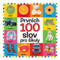 Prvních 100 slov pro šikuly Svojtka & Co. s. r. o.