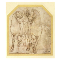 Obrazová reprodukce Study of Horses and Riders, c.1480, Leonardo da Vinci, 34.9 × 40 cm