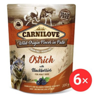 Carnilove Dog Pouch Paté Ostrich with Blackberries 6 × 300 g