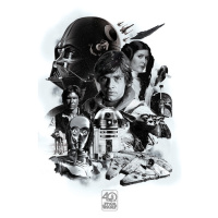 Plakát, Obraz - Star Wars - 40. výročí, (61 x 91.5 cm)