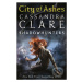 The Mortal Instruments: City of Ashes (Book Two) - Cassandra Clare - kniha z kategorie Beletrie 