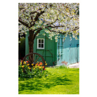 Fotografie Cozy cottage in a country garden, Germany, photography by Ulrich Hollmann, 26.7 × 40 