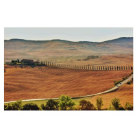 Fotografie Driving Tuscany, Michael Biggs, 40 × 26.7 cm