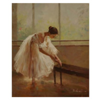 Obraz - Nádherná baletka