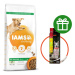 IAMS Dog Adult Large Lamb 12 kg